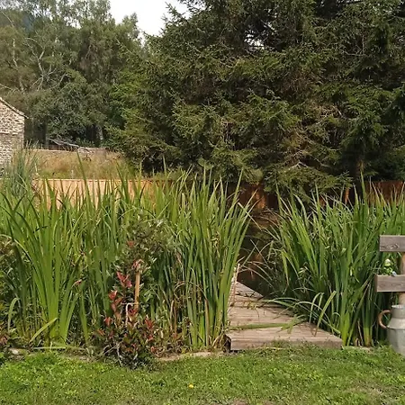 Grenouille Hébergement de vacances